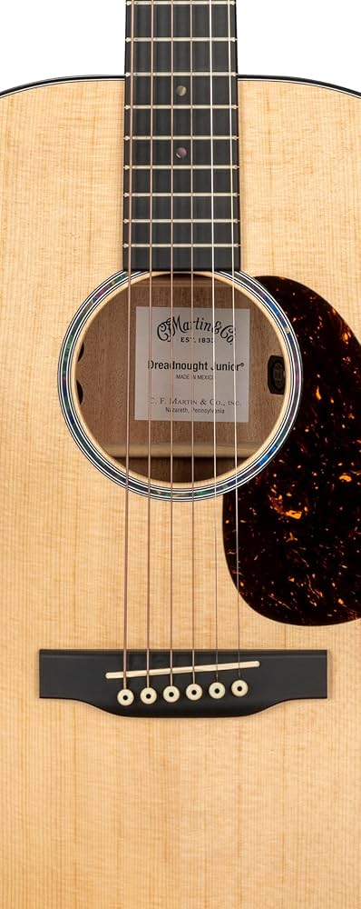 Amazon.com: Martin D Jr E (Right) : Musical Instruments